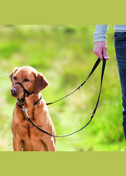 Шлея тренировочная для собак L-XL (*) Trixie (322591622)