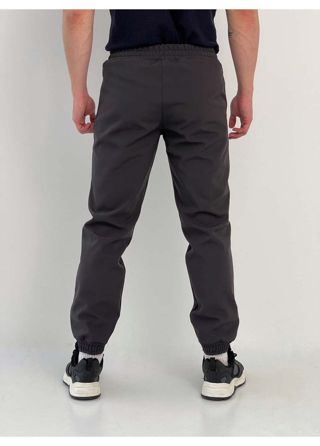 Серые спортивные, кэжуал демисезонные брюки Intruder