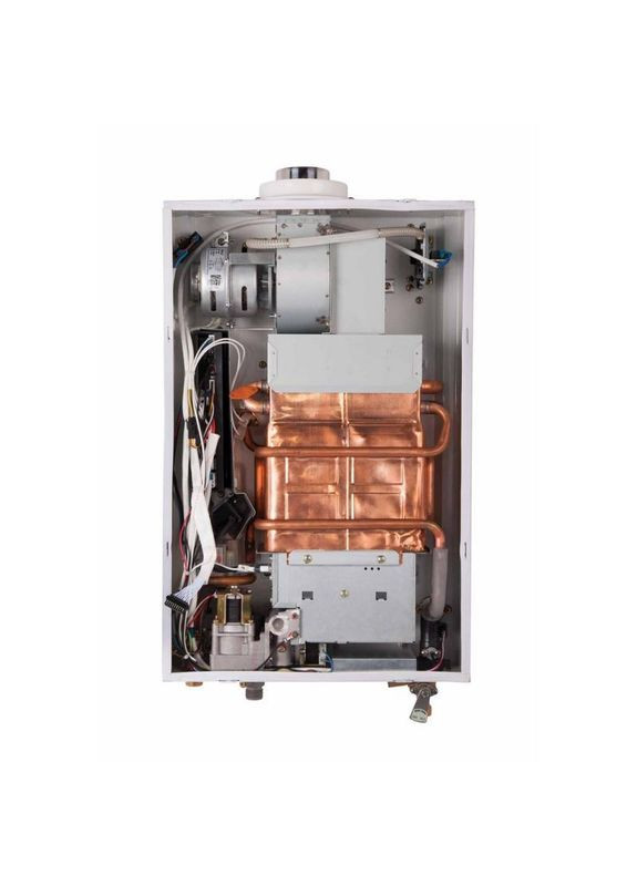 Колонка газовая дымоходная 10 л Silver Thermo Alliance JSG20-10ETP18 (276963911)