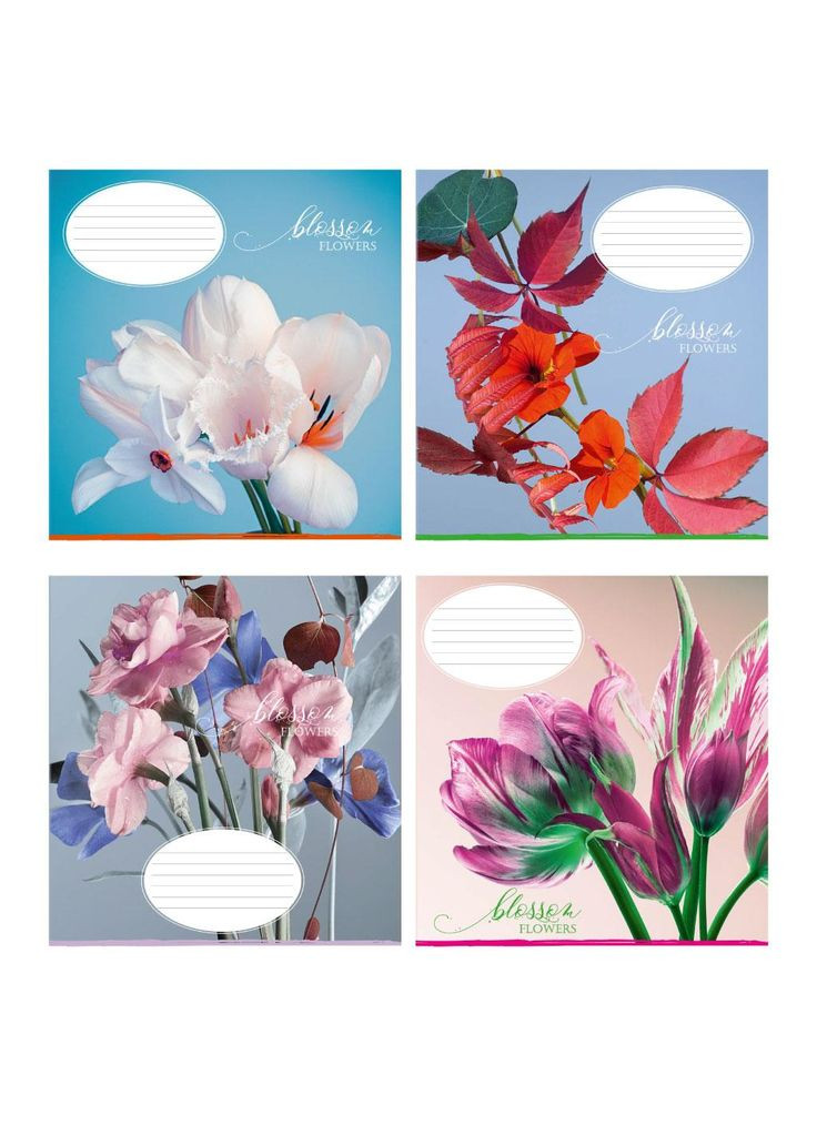 Зошит 36 аркушів клітинка "Поліграфіст" / Квітковий цвіт Фабрика Поліграфіст (342415404)