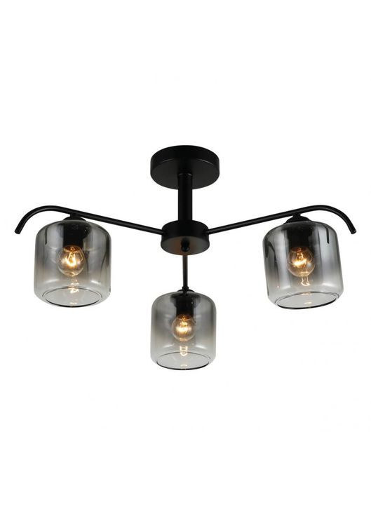 Накладной светильник BL1930-1 ORLANDO под лампу Ardero (365652042)