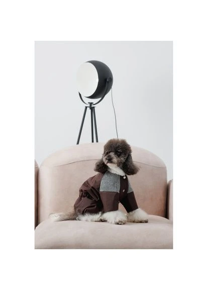 Костюм Locky XS для собак Pet Fashion (333020536)