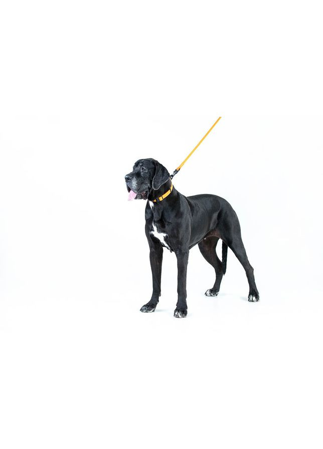 Повідець "Еволютор" (ширина 25 мм, довжина 210 см) помаранчевий Evolutor (326836289)