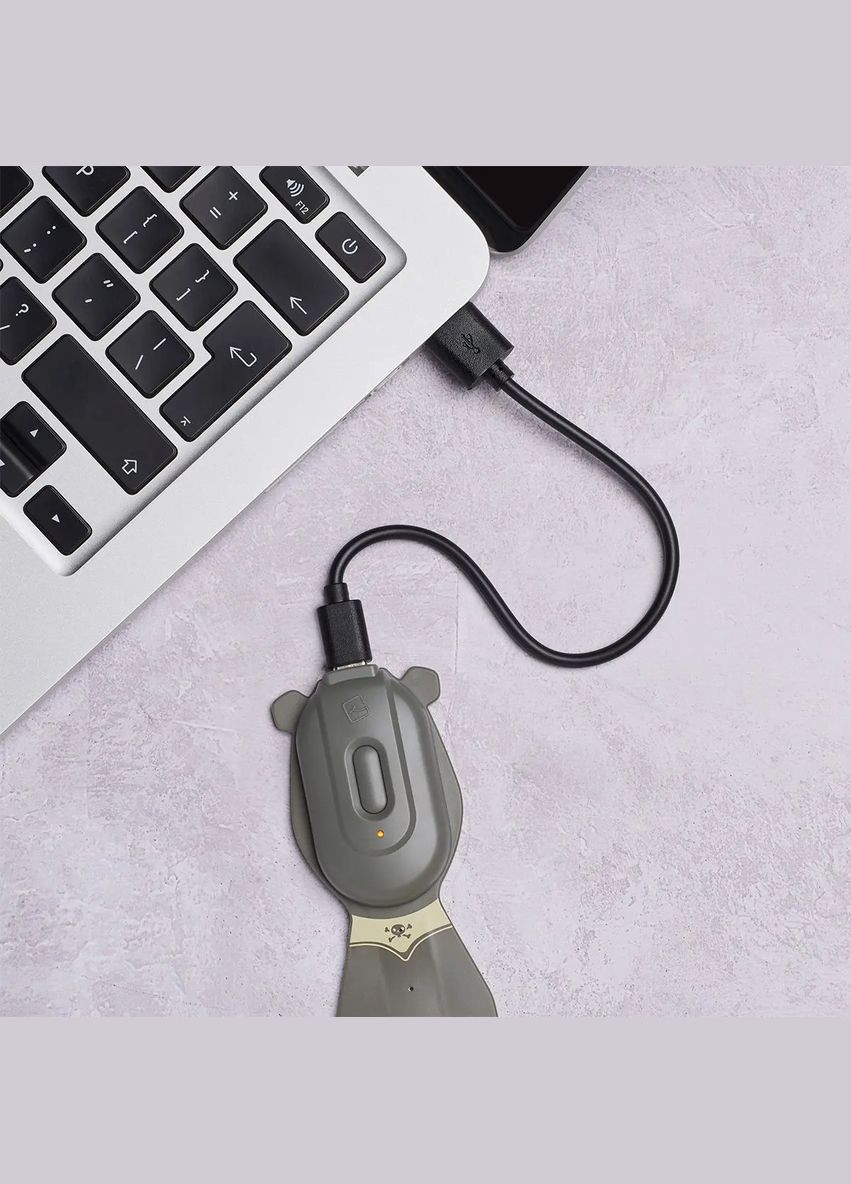 Закладка-фонарик Rechargeable Друзья Пират, 14,7х3,6х1,3 см () FLEXILIGHT FLRPPI (328394101)