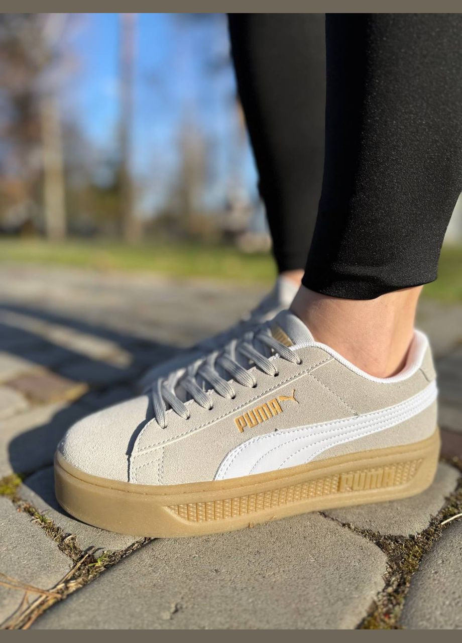 Сірі жіночі кеди сірі (2010) No Brand