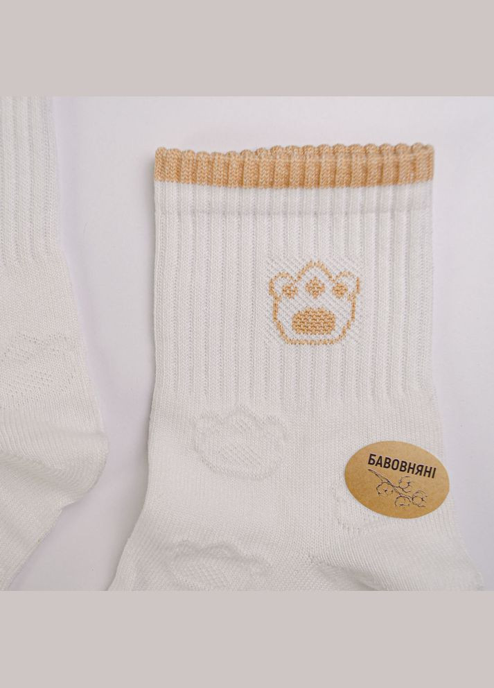 Белые набор носков хлопковых женских 10 пар youstar 103 средние 37-41 белый GM Textile (339042292)