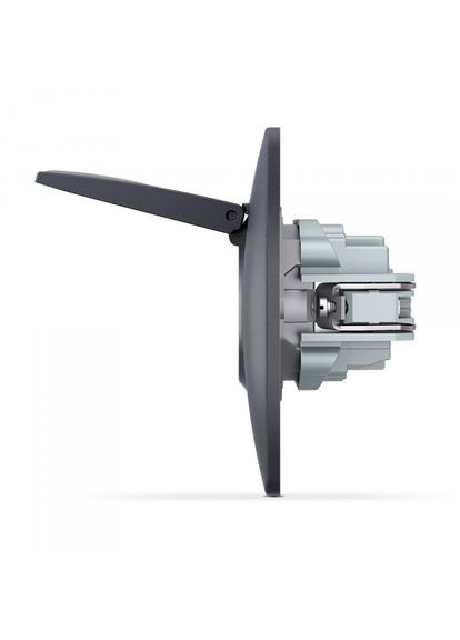 Розетка одинарная с заземлением и крышкой черный графит BINERA Videx (366298431)