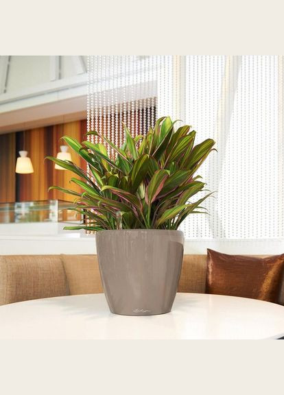 Разумный вазон Classico Premium LS 28 6,7 л белый 16040 Lechuza (316614675)