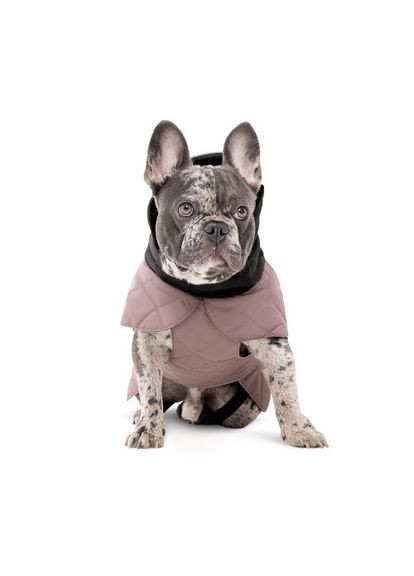 Попона Max для собак SM (*) Pet Fashion (323153954)