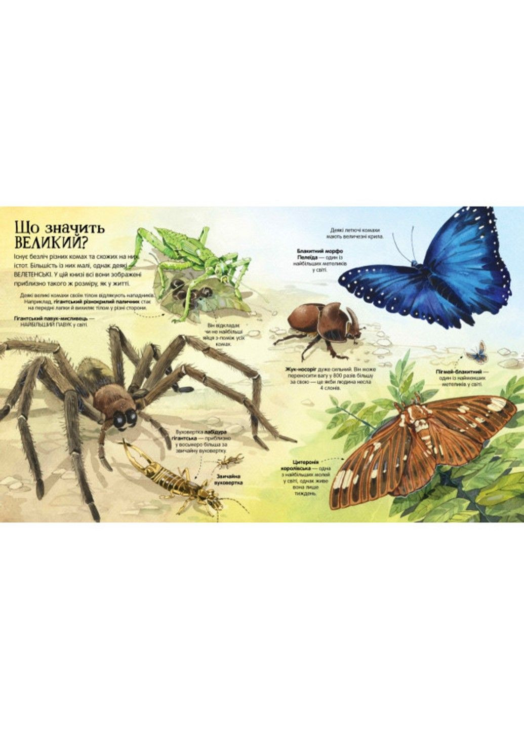 Велика книга комах і не тільки. Боун Е Артбукс (297214286)