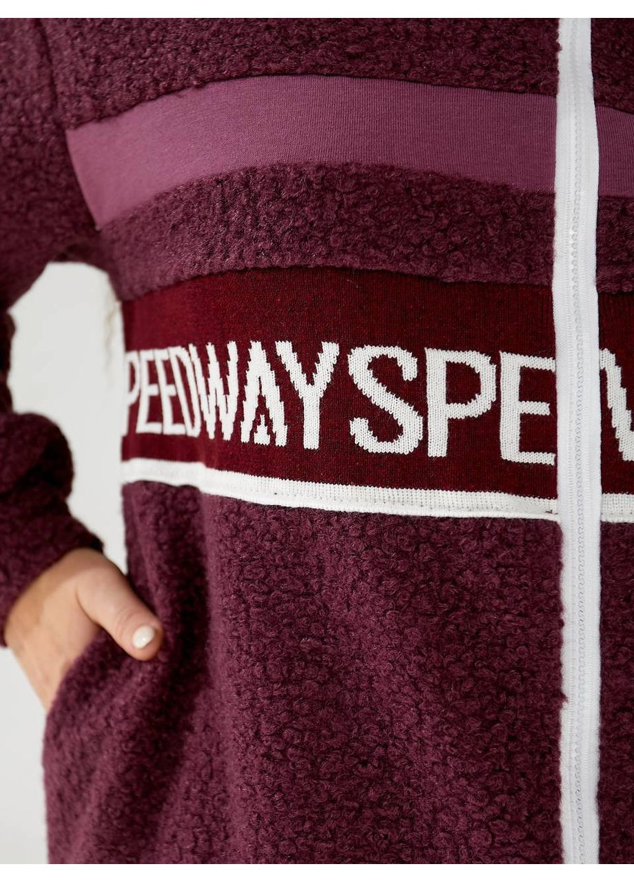 Костюм женский теплый трикотаж трехнитка начес,Тедди трикотаж,штаны и кофта с капюшоном Україна (360857410)