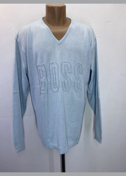 Голубой демисезонный пуловер пуловер Boss V-Neck
