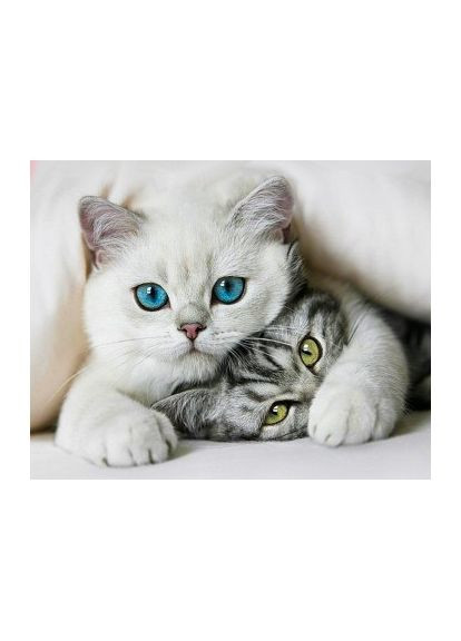 Набір алмазної вишивки Симпатичні котики 40х50 SP105 ColorArt (299772237)