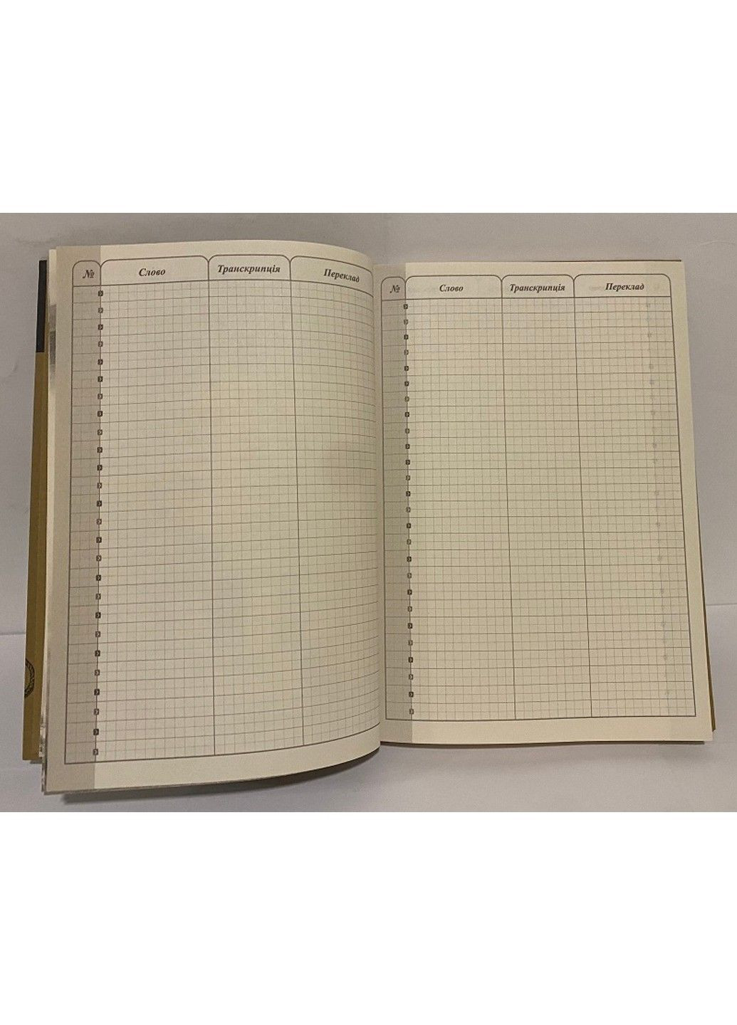 Дневник школьный твердая обложка RM262 Kite (292405590)