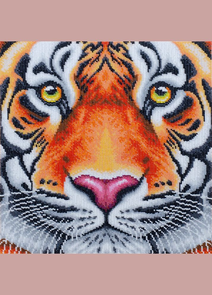 Набір для вишивки бісером "Погляд тигра" савана, левиця, тигреня, кіт, милий, повна викладка, Чехія, 40х40 см ВДВ (294613978)