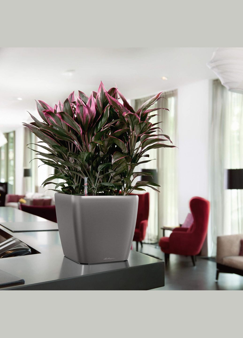 Вазон Quadro Premium LS 28, сіро-коричневий (A-013591) Lechuza (317268816)