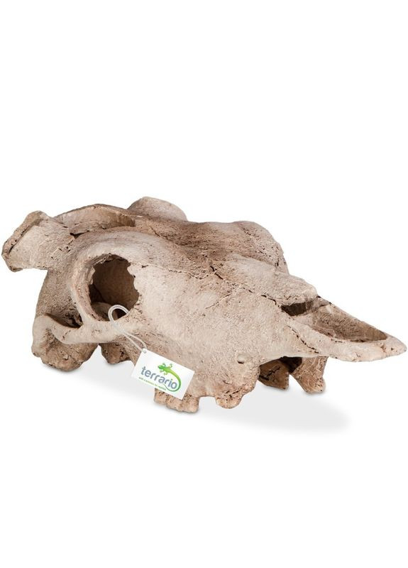 Декорация черепа буйвола Buffalo Skull 21x12x8см Terrario (363453030)
