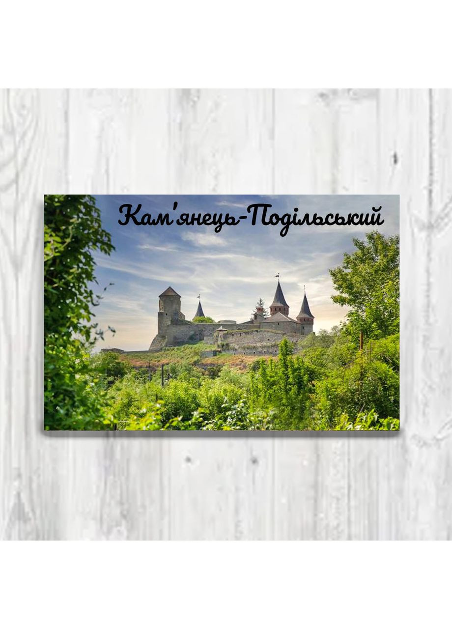 Магнитик Каменец-Подольский (принт 4.42) CASE CONTROL (356129169)