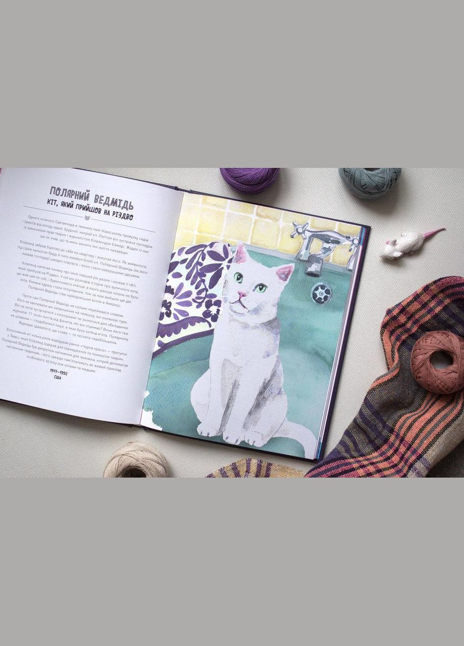 Коти-відчайдухи. Зухвалі байки про хоробрих хвостатих, Кімберлі Гамільтон, книги для дітей, Дитяча література,, укр Жорж (312507745)