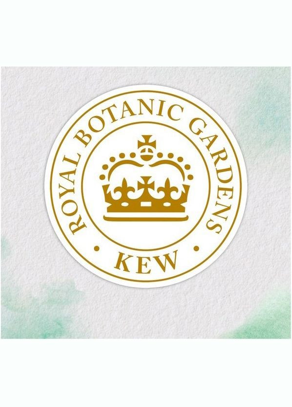 Бальзам-ополаскиватель Мягкость лепестков розы, 250 мл HERBAL ESSENCES 8700216211024 (328394735)