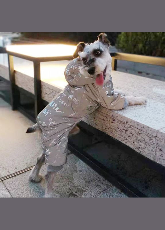 Зимний комбинезон из светоотражающей ткани с теплой подкладкой S размер No Brand (299840549)