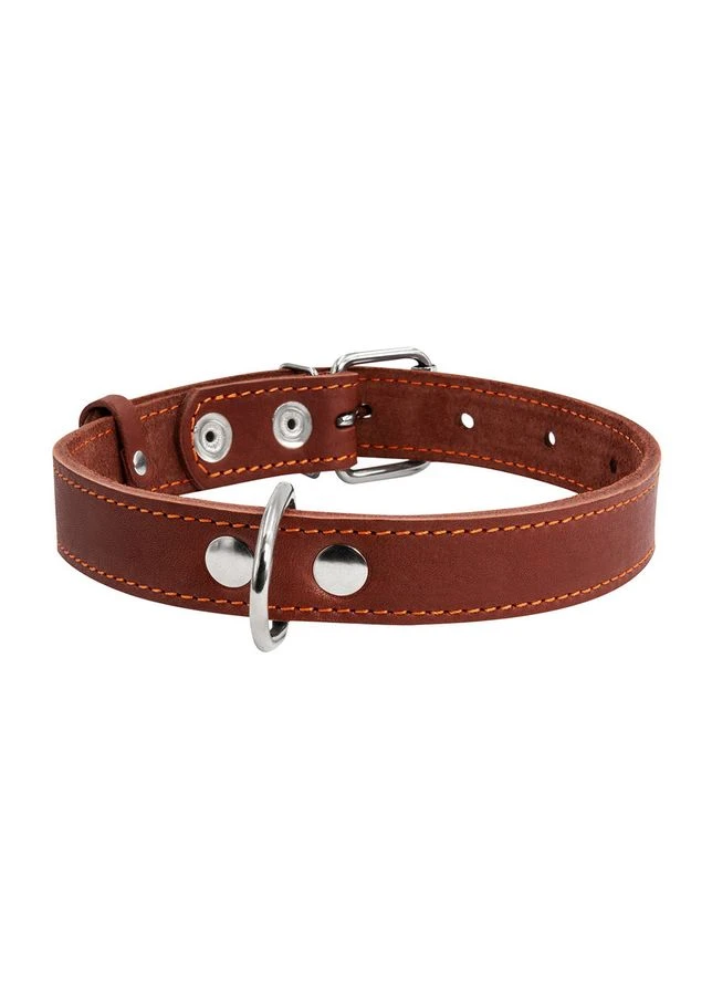 Ошейник "CoLLaR" одинарный (ширина 35мм, длина 48-63см) No Brand (363197287)
