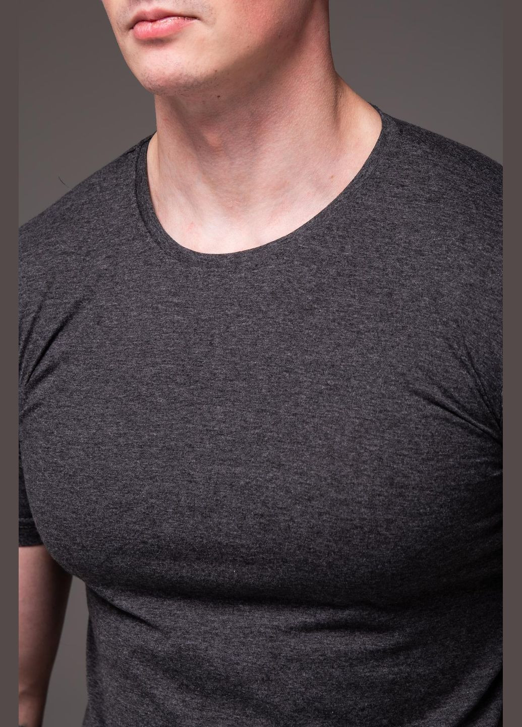 Сіра футболка чоловіча базова бавовна сіра з коротким рукавом No Brand