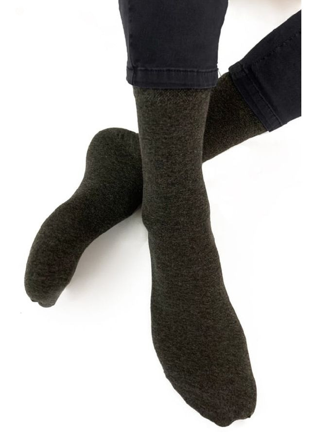 Мужские носки Legs cotton standard gray (меланж) (284283021)