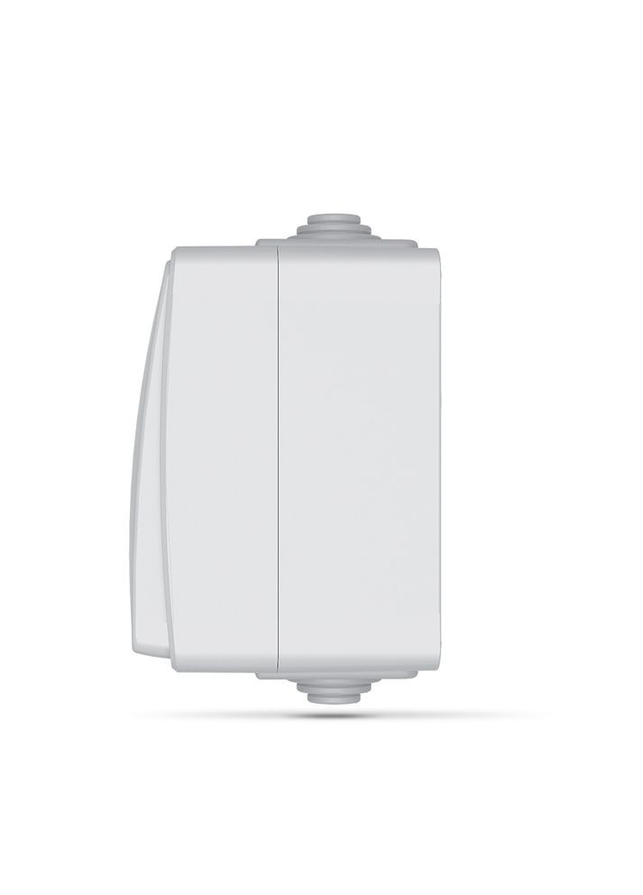 Защищенный наружный выключатель 2-клавишный BINERA IP65 VF-BNW12-G Videx (282313067)