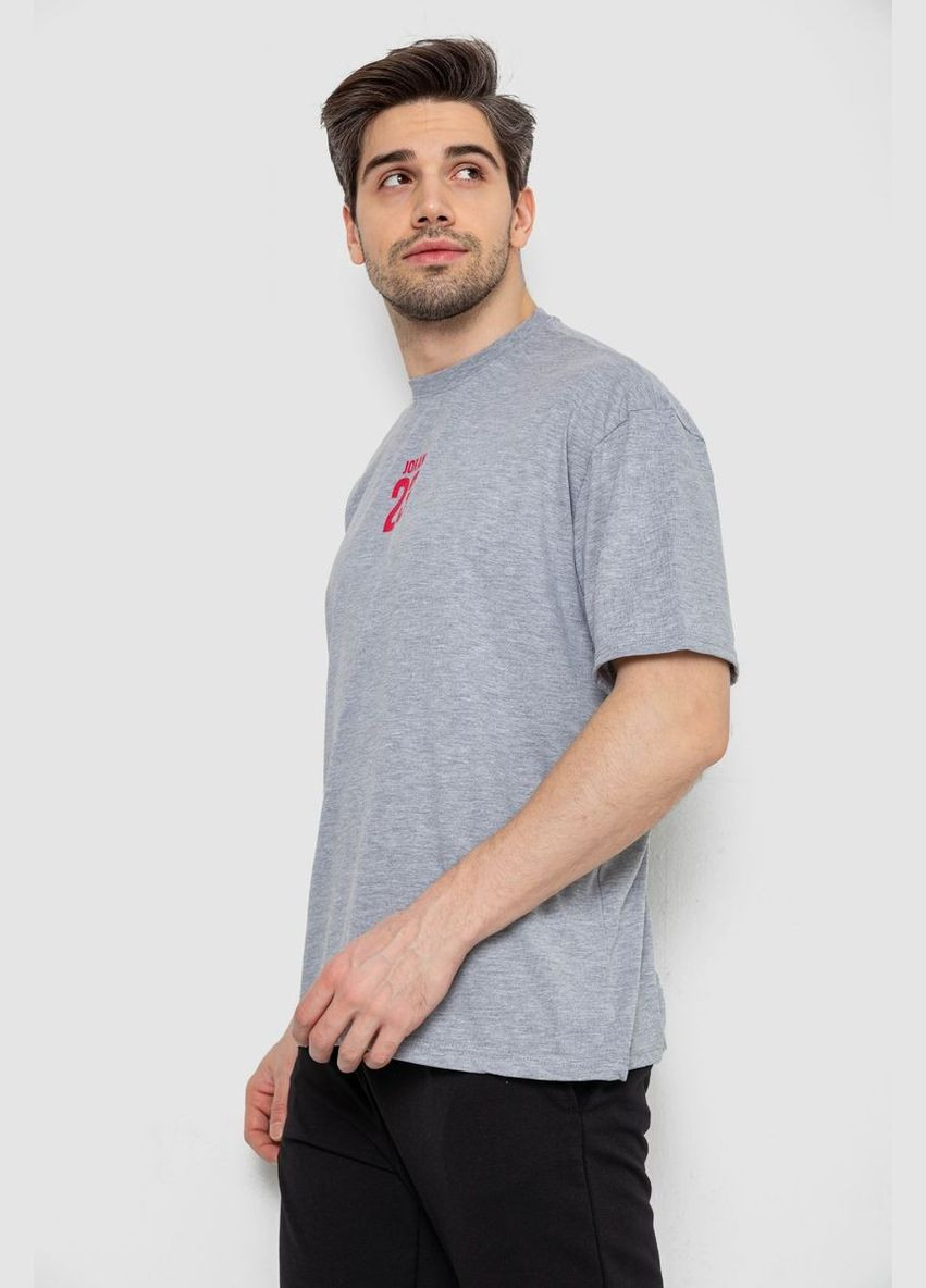 Серая футболка мужская с принтом Andi 244R7024