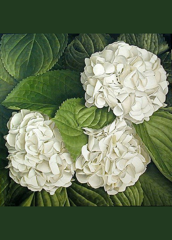 Алмазна мозаїка Чарівний діамант (333710593)