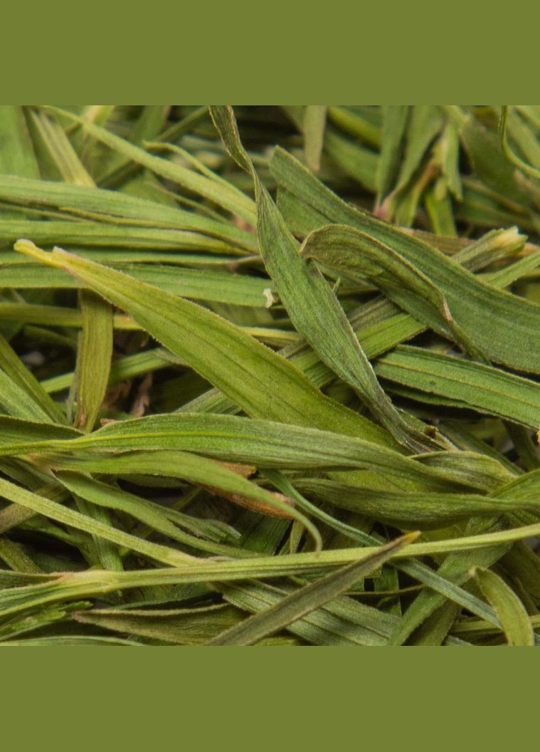 Люй Чжу Е - 50 г No Brand (305196058)