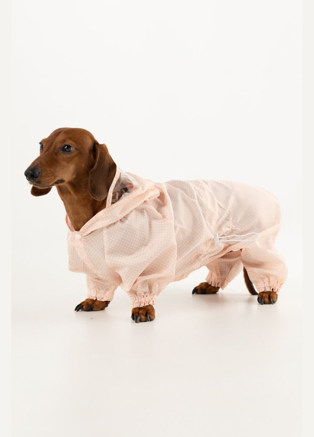 Комбинезон для животных KM52621 Розовый (2002014440528D) shop (2002014440528) KUMAOCHONGWUYONGPIN (363829761)