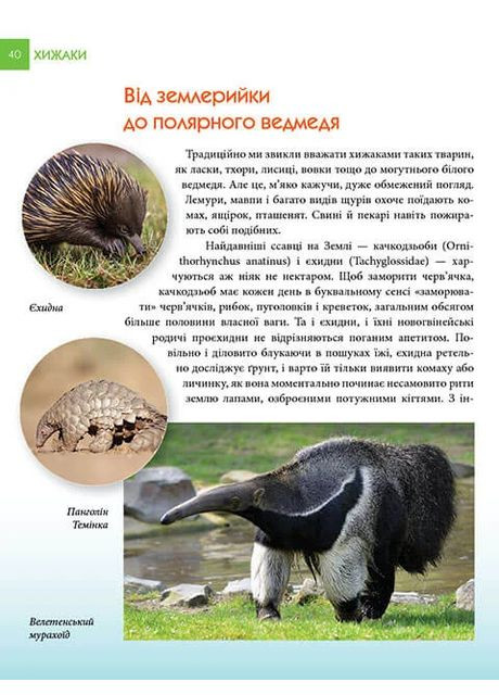 Енциклопедія для допитливих А5: Хижаки (Українська, 01 КРЕЙДОВАНИЙ ) Талант (370076339)