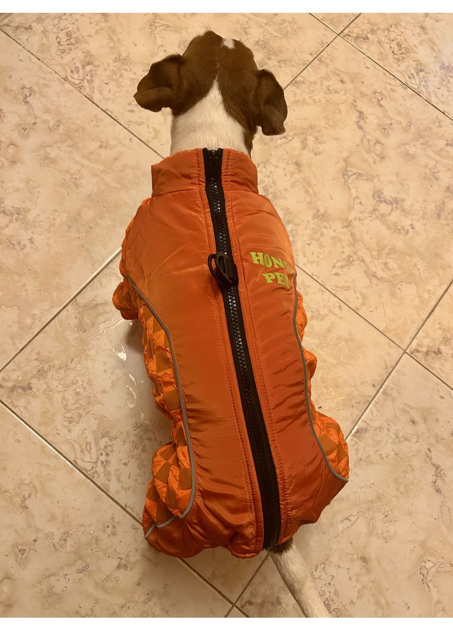 Зимняя одежда для собак, Комбинезон для собак М No Brand (362136286)