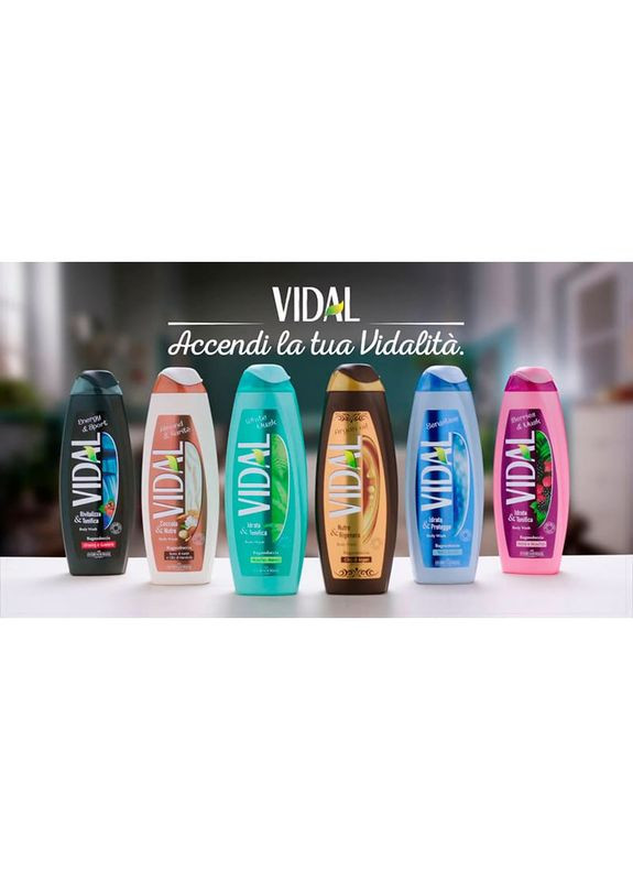 Гель для душу Арганова олія 500 мл (8008970055374) Vidal (323238805)
