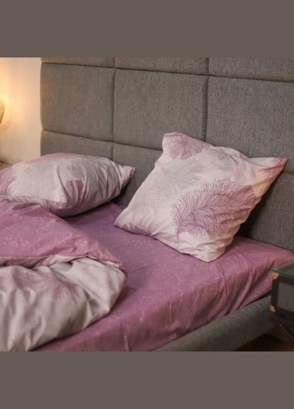 Комплект постельного белья семейный ранфорс 21158 100% хлопок Viluta (278635218)