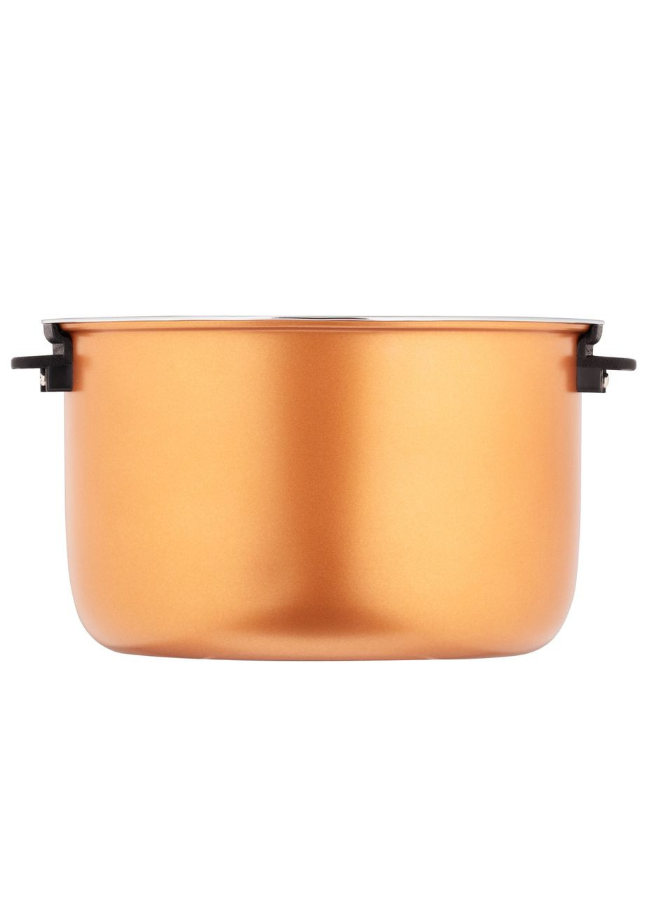 Мультиварка (пароварка +фрітюрниця) 5 л, 860 Вт MC-P17DGDF Ardesto (342117557)