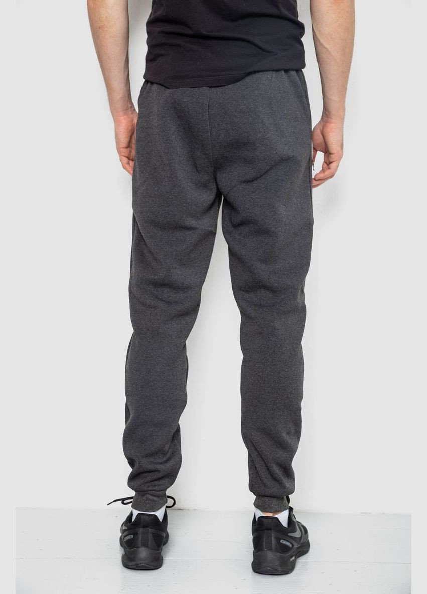 Спортивні штани чоловічі на флісі Ager 244R4643 (308218144)