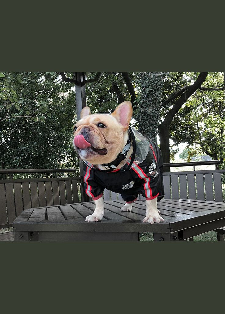 Дождевик для собак с капюшоном dog face S размер No Brand (299840192)