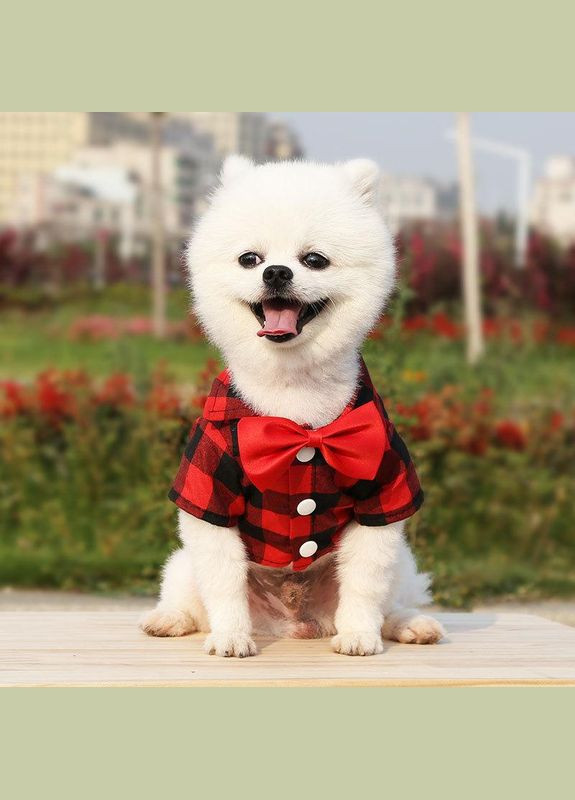 Рубашка для собак Pet Style "Бабочка" Красная XS No Brand - (323237602)