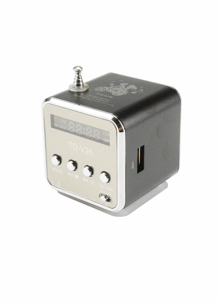 Минипортивная MP3 колонка FM радио TD-V26 XJXN (331150411)