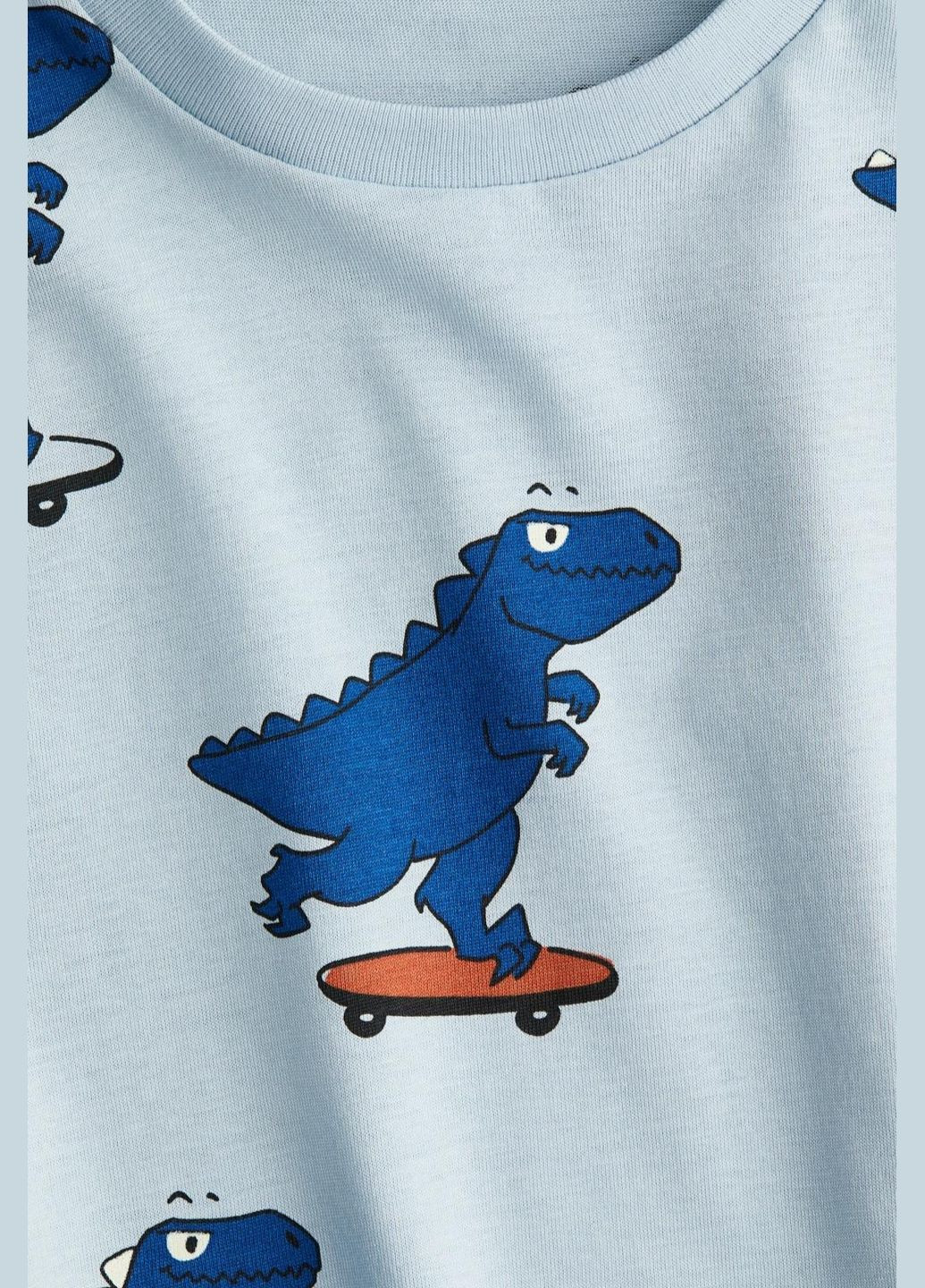 Голубая летняя детская футболка для мальчика 110-116 см голубой (250530001c) H&M