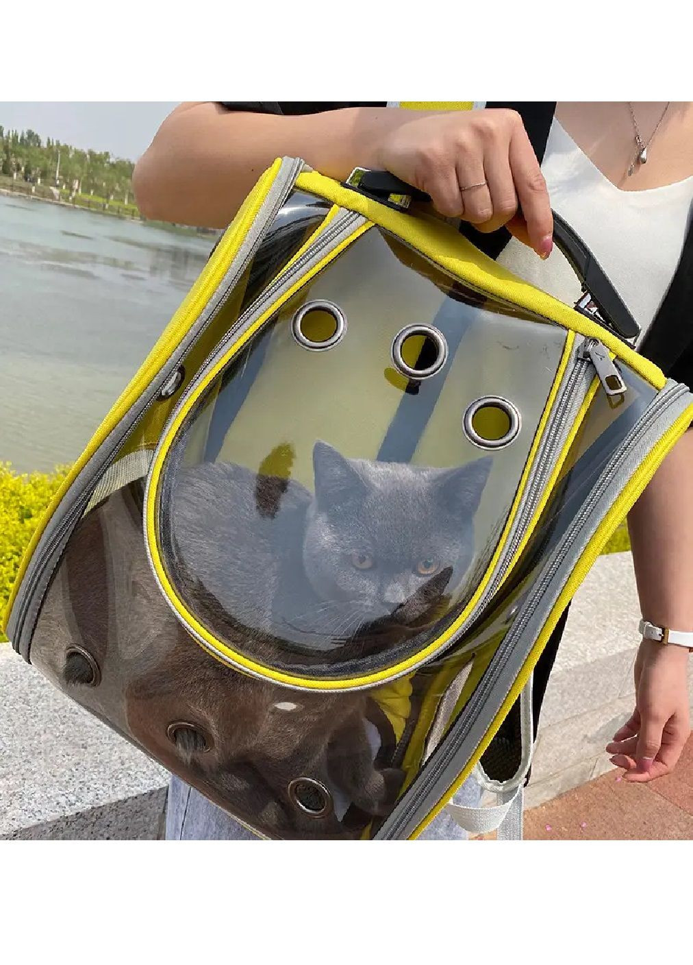 Рюкзак сумка переноска для животных кошек собак с прозрачной стенкой вентиляцией подстилкой 38х21х33 см (477211-Prob) Желтый Unbranded (295543803)