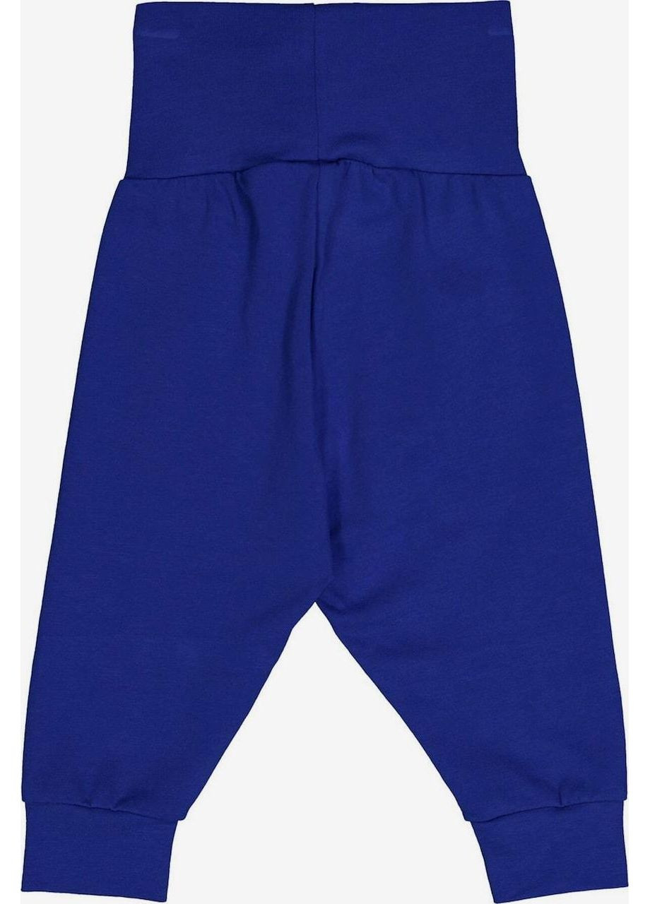 Синие спортивные зимние брюки джоггеры Green Cotton