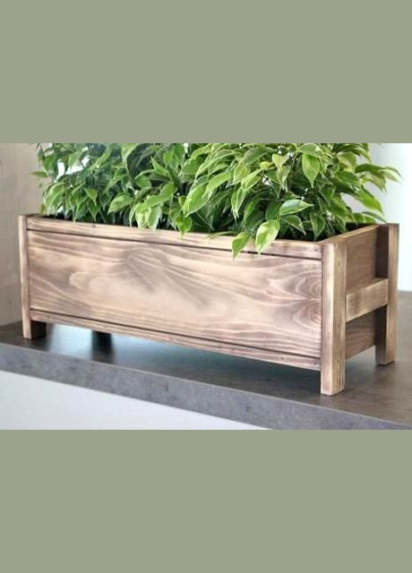 Кашпо из дерева Гравилат мускат (КАШ-005407) No Brand (328450505)