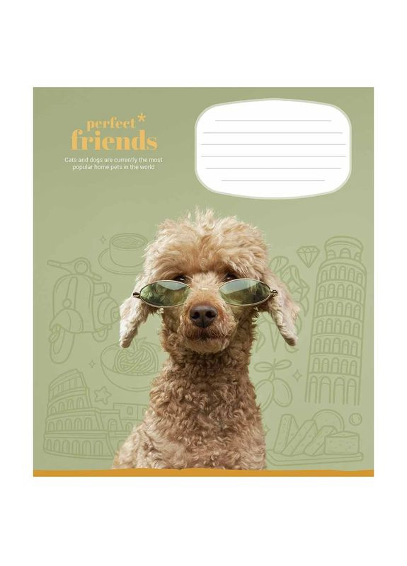 Зошит учнівський Perfect friends 012-3250C 12 арк. (482000647045603250)(SC) shop (482000647045603250) Школярик (337404353)