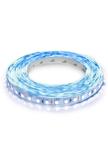 Світлодіодна стрічка OEM ST-12-2835-120-B-20 синя, негерметична, 1м BIOM (361068394)