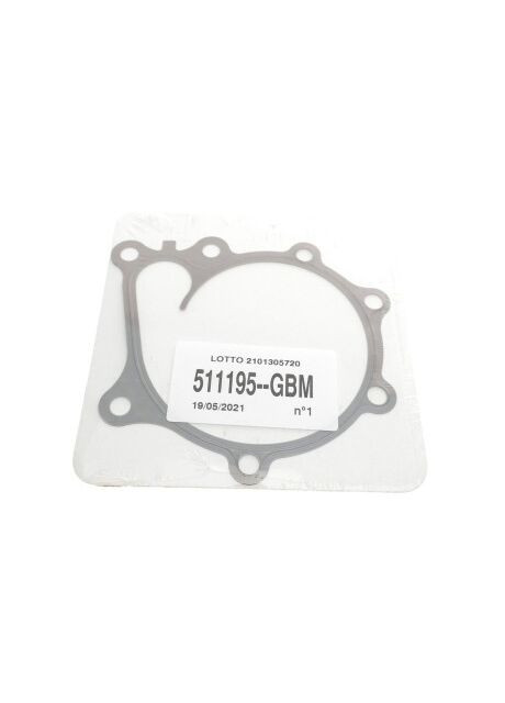 Помпа воды PA1195 Graf (347159106)