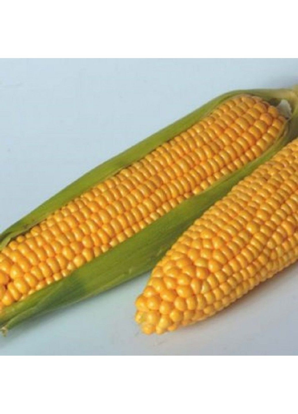 Семена кукурузы Тусон F1 Syngenta (331900693)